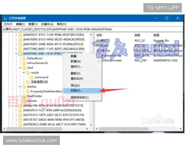 解决无法访问vsport官网入口的常见问题及详细操作步骤指南