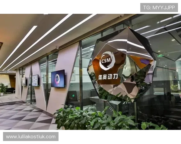 FB体育直播如何优化用户体验提供多样化赛事内容满足不同观众需求